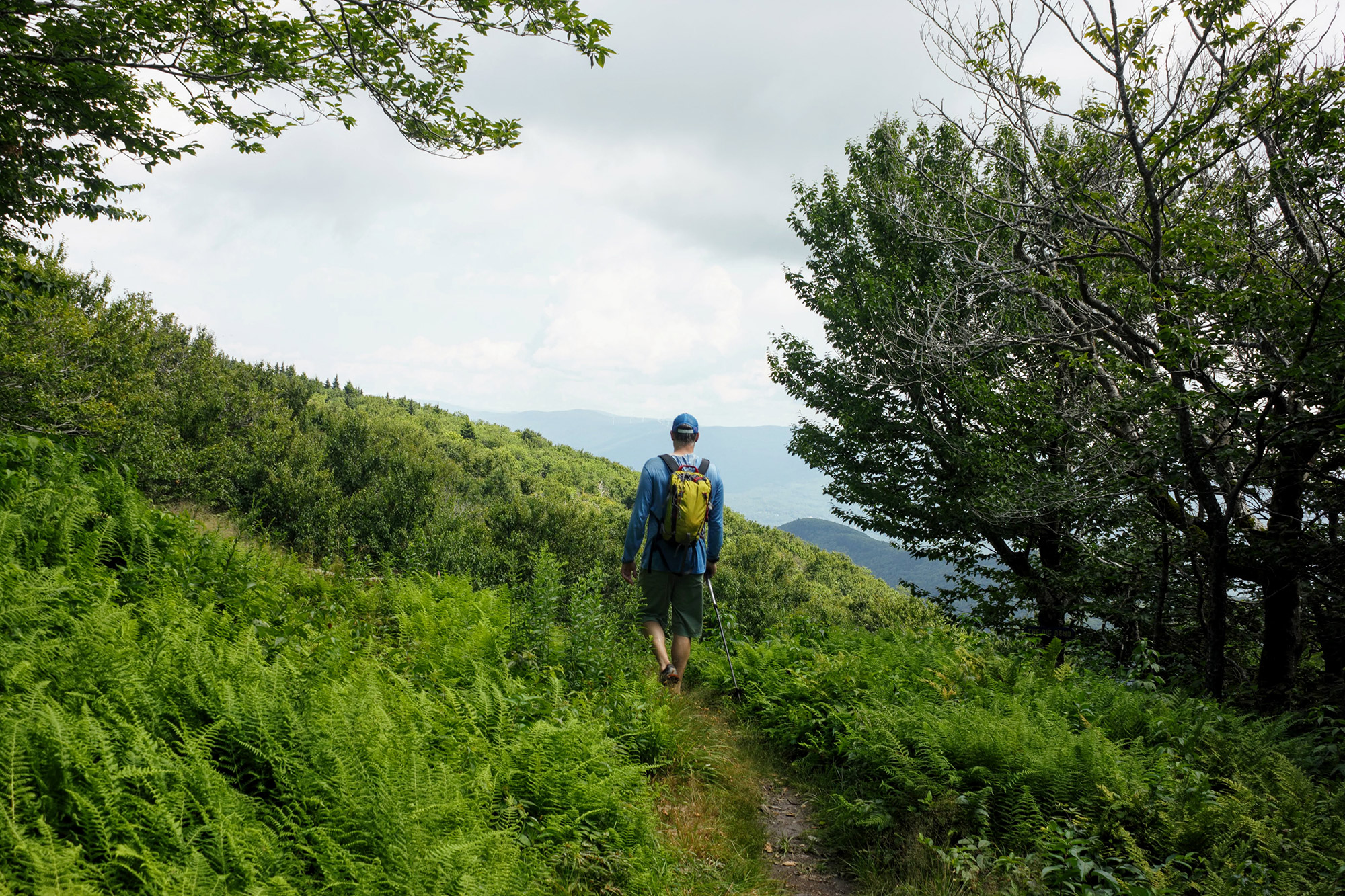 Alpha Guide: Hiking Mount Greylock's Thunderbolt Trail - goEast