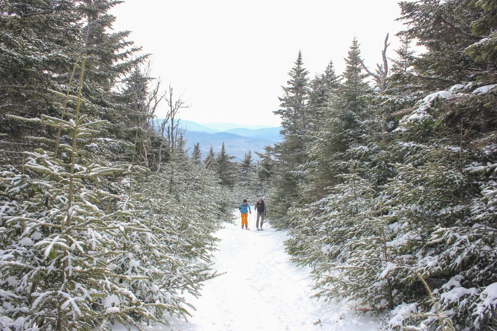 Skiing in the White Mountains 