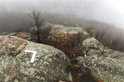 A foggy day in late fall, looking back over the Breakneck Ridge Trail.