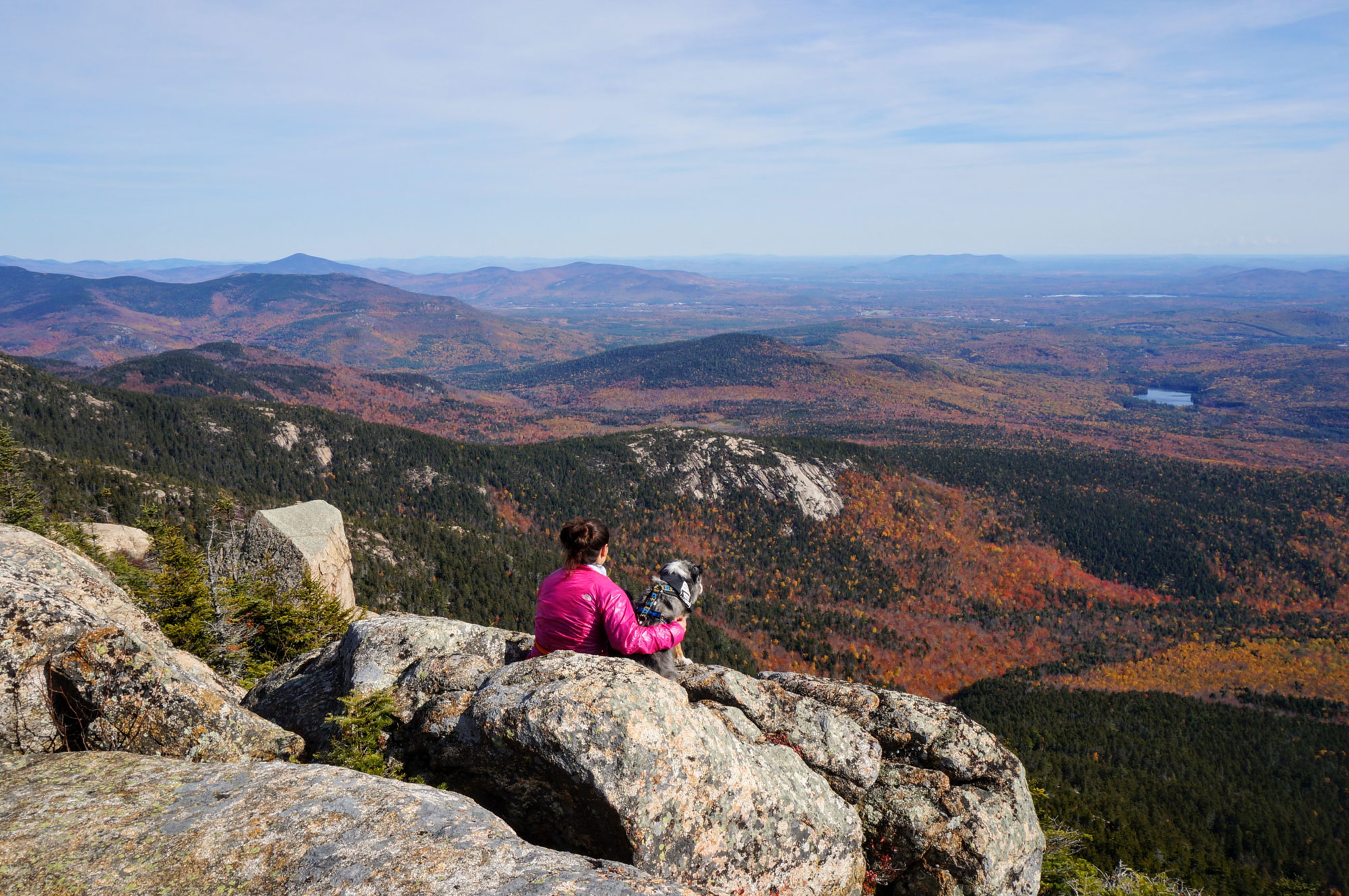Dog and their person taking in the foliage from Mount Chocorua 