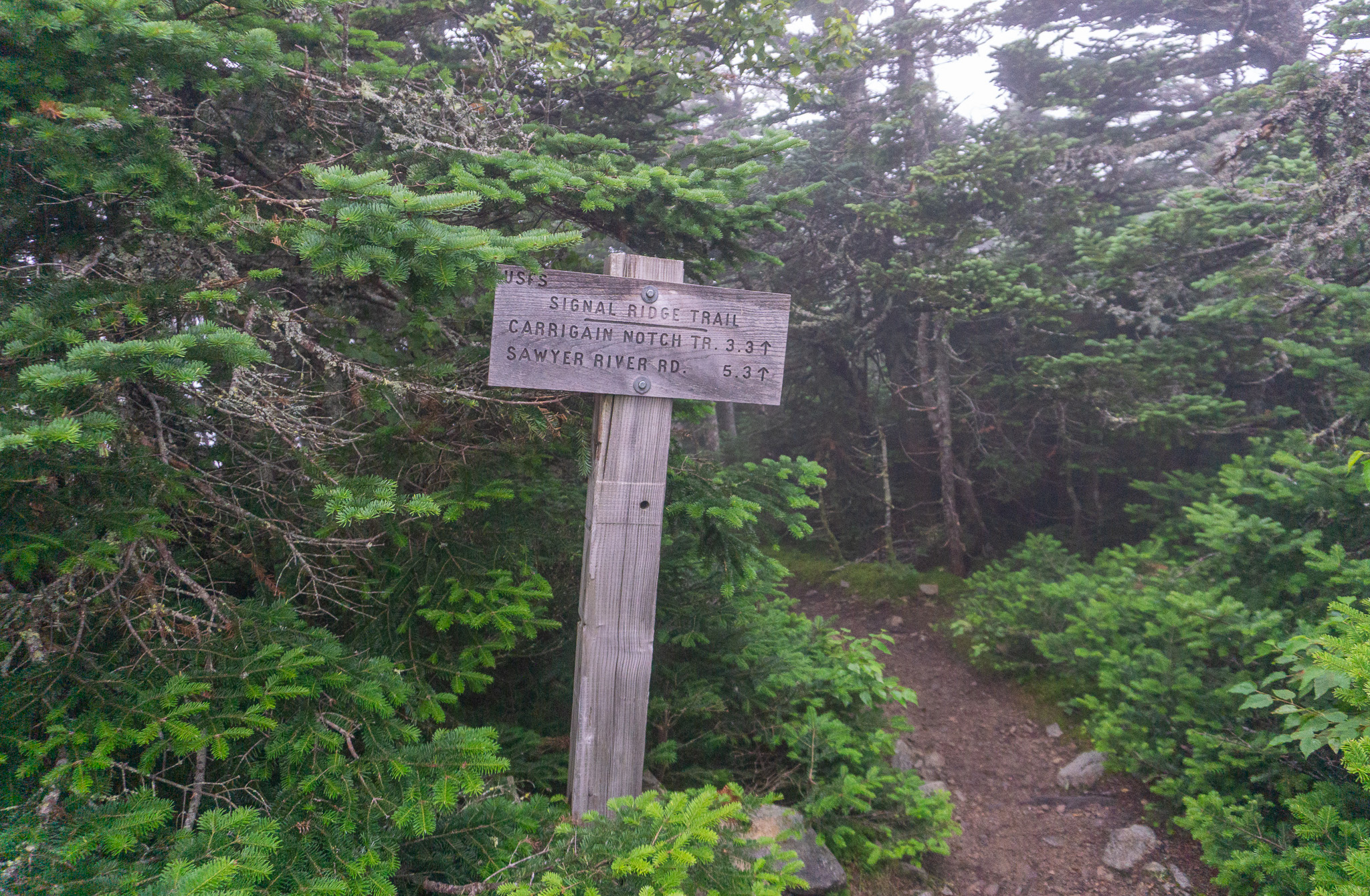 Sign for Signal Ridge on Mount Carrigain 