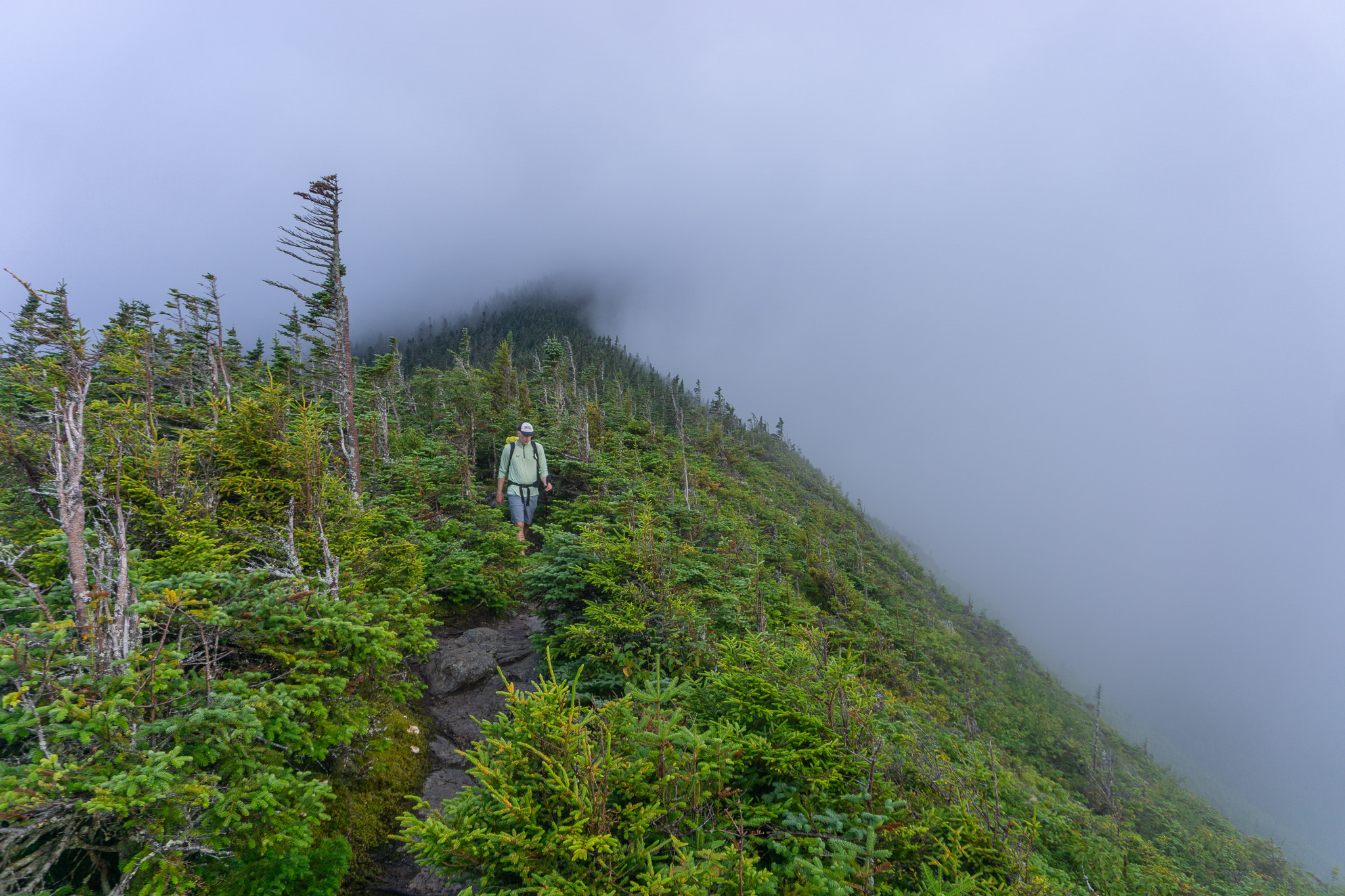 The summit of Mount Carrigain in the clouds 