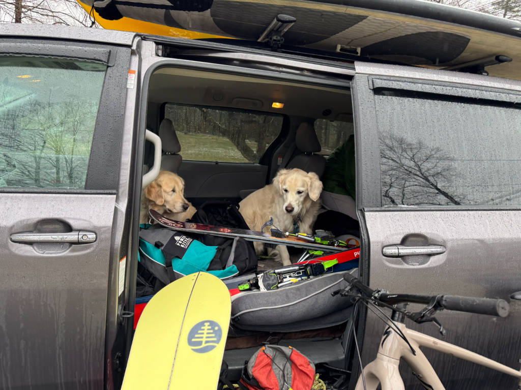 Dogs love an adventure van 