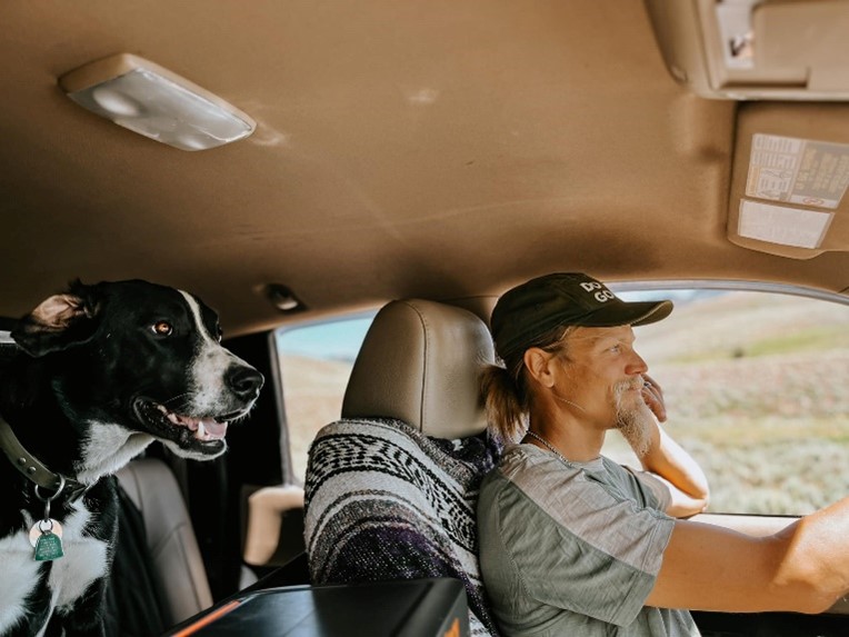 On the road with a four-legged friend 